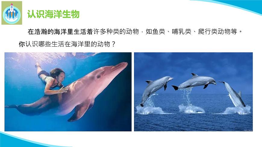 粵科粵教版科學(xué)三年級(jí)上冊(cè)第5課海洋里的生物PPT課件第3頁(yè)