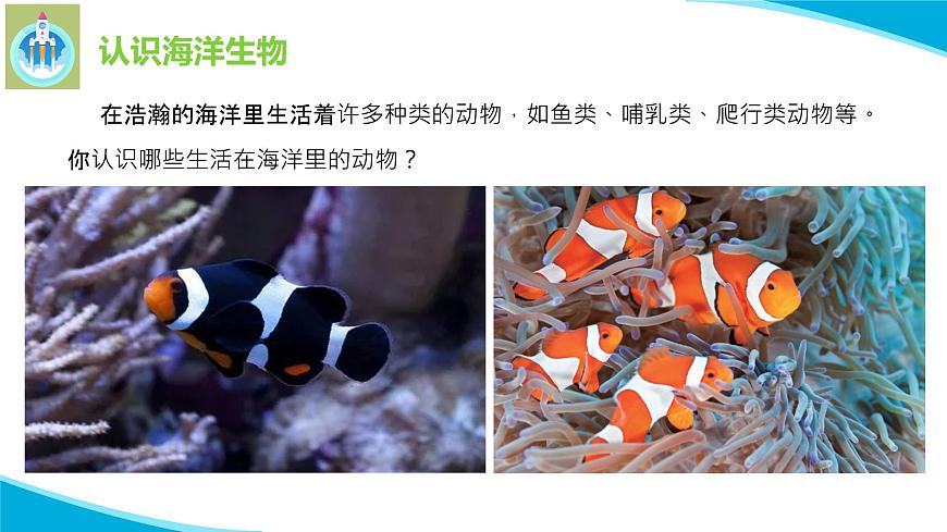 粵科粵教版科學(xué)三年級(jí)上冊(cè)第5課海洋里的生物PPT課件第4頁(yè)