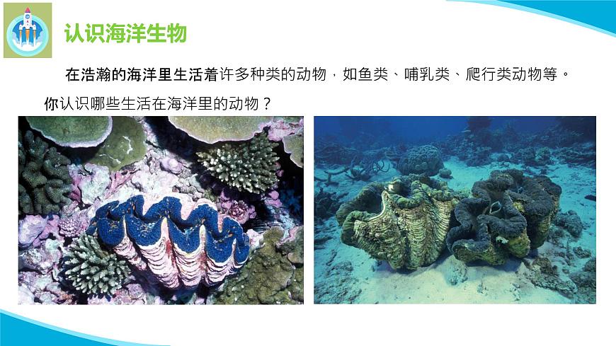 粵科粵教版科學(xué)三年級(jí)上冊(cè)第5課海洋里的生物PPT課件第7頁(yè)