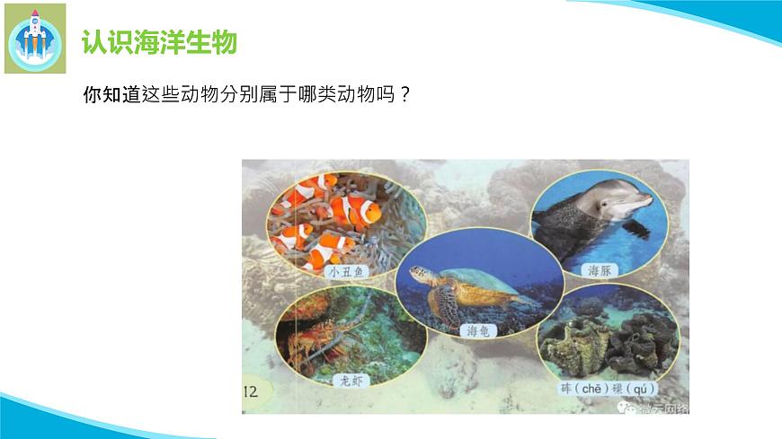 粵科粵教版科學(xué)三年級(jí)上冊(cè)第5課海洋里的生物PPT課件第8頁(yè)