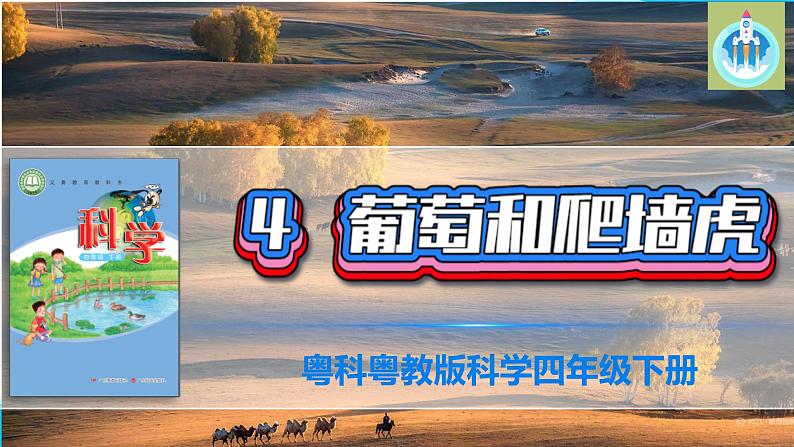 粤教版科学四年级下册4葡萄和爬山虎PPT课件新版01