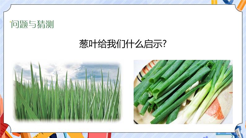 新青岛版科学五上:生物的启示 PPT课件第2页
