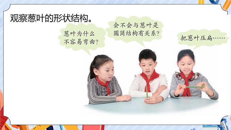 新青岛版科学五上:生物的启示 PPT课件第3页