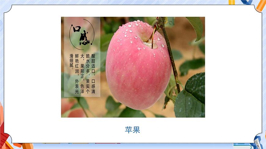 5.土壤的類型第2頁
