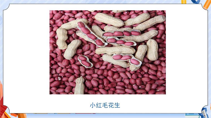 5.土壤的類型第4頁