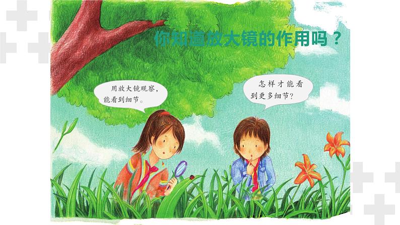 粤教版五年级下册科学《放大镜下的生物》(课件)第2页