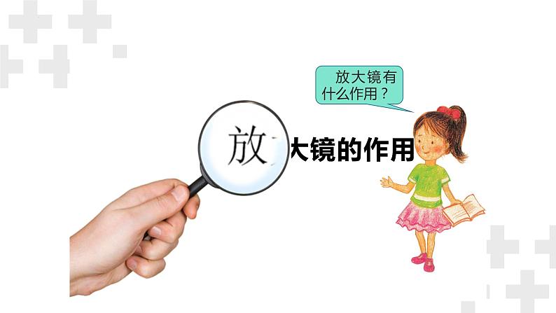 粤教版五年级下册科学《放大镜下的生物》(课件)第3页