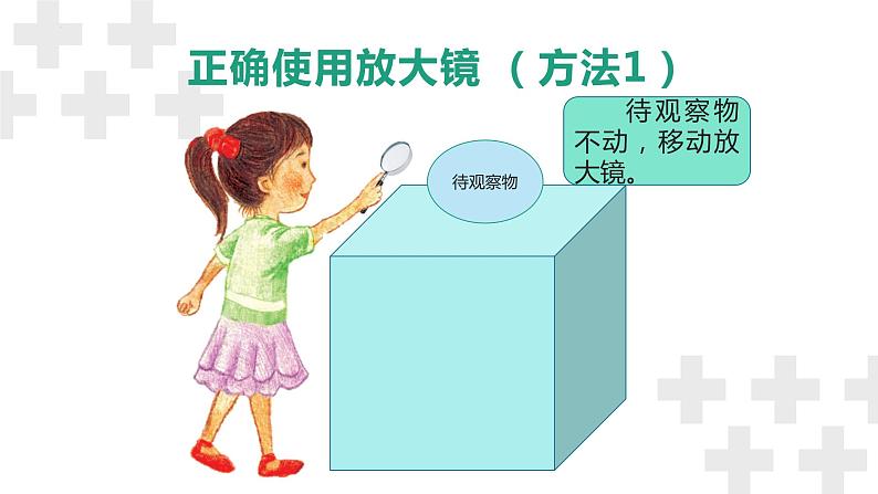 粤教版五年级下册科学《放大镜下的生物》(课件)第4页