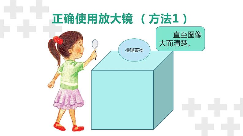 粤教版五年级下册科学《放大镜下的生物》(课件)第5页