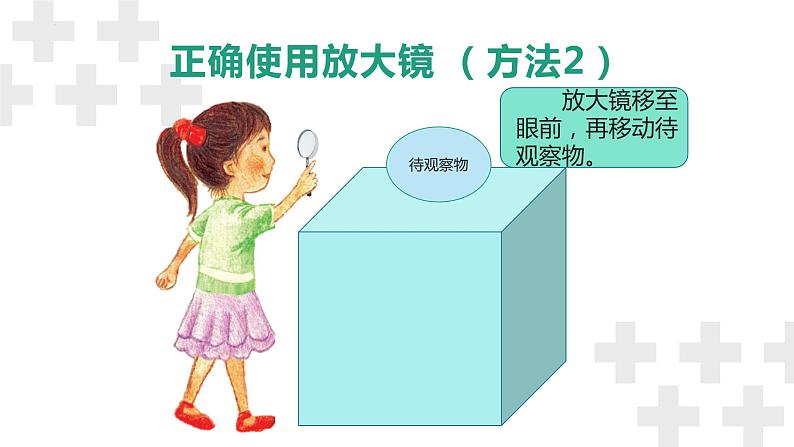 粤教版五年级下册科学《放大镜下的生物》(课件)第6页