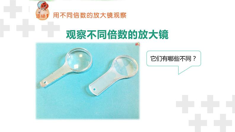粤教版五年级下册科学《放大镜下的生物》(课件)第8页