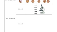 小学科学教科版 (2017)六年级上册4.观察洋葱表皮细胞教案