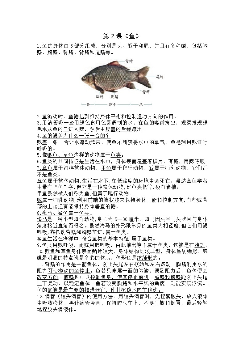 青岛版科学四年级上册 1.2鱼【知识要点】01