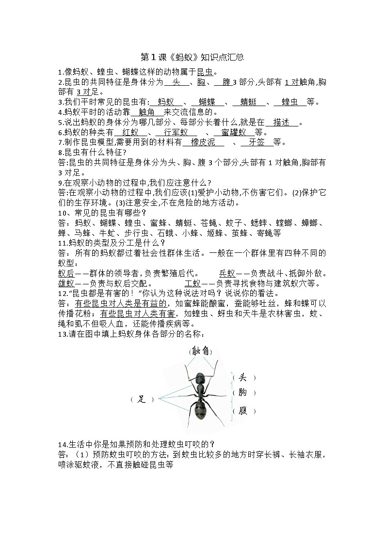 青岛版科学四年级上册 1.1 蚂蚁【知识要点】01