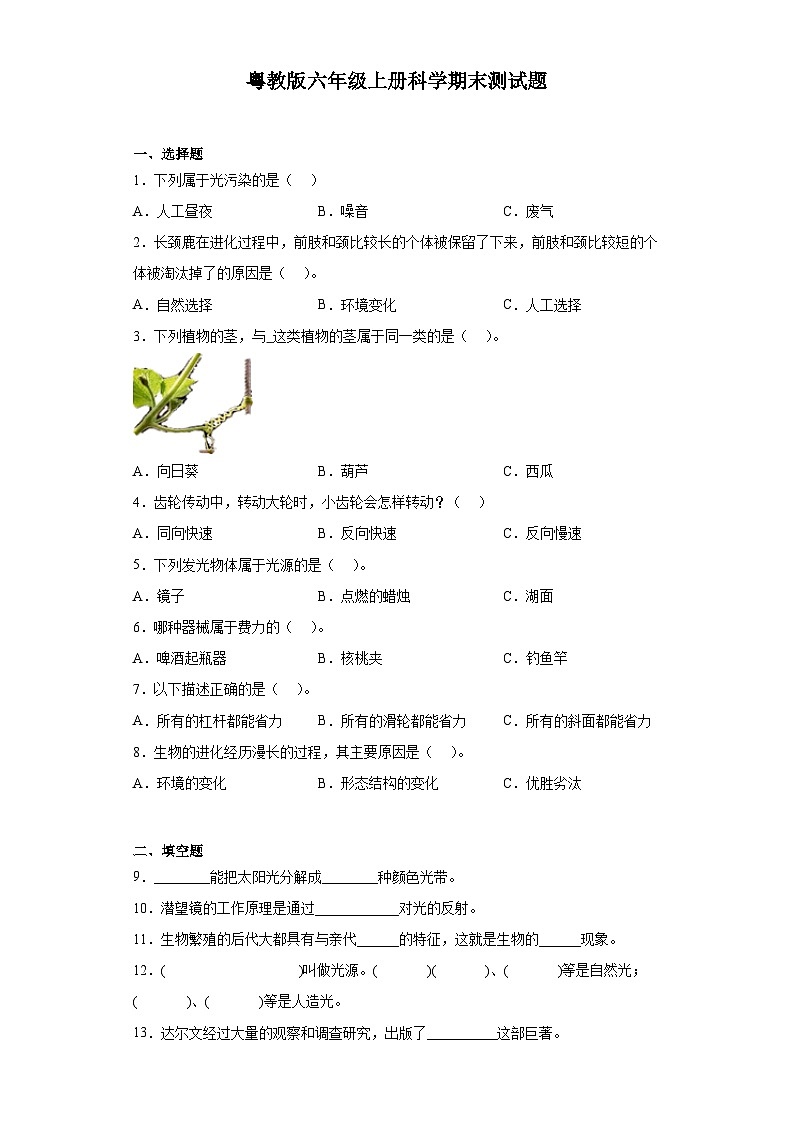 粤教版六年级上册科学期末测试题(含答案)01