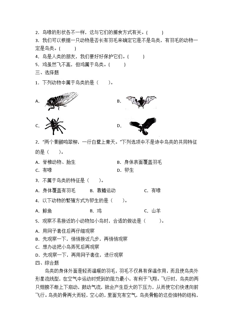 青岛版科学四年级上册 1.3鸟 同步练习+答案02