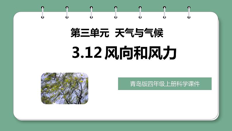 3.12 风向和风力(课件)青岛版科学四年级上册第1页