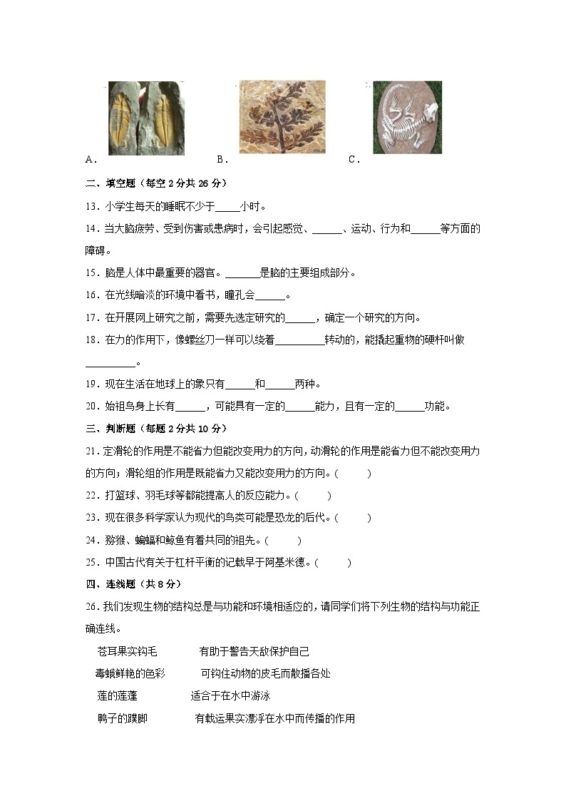 粤教版六年级科学上册期末检测卷（一）有答案02