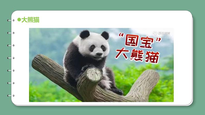新青岛版科学四上 1.5我国的珍稀动物 课件第6页