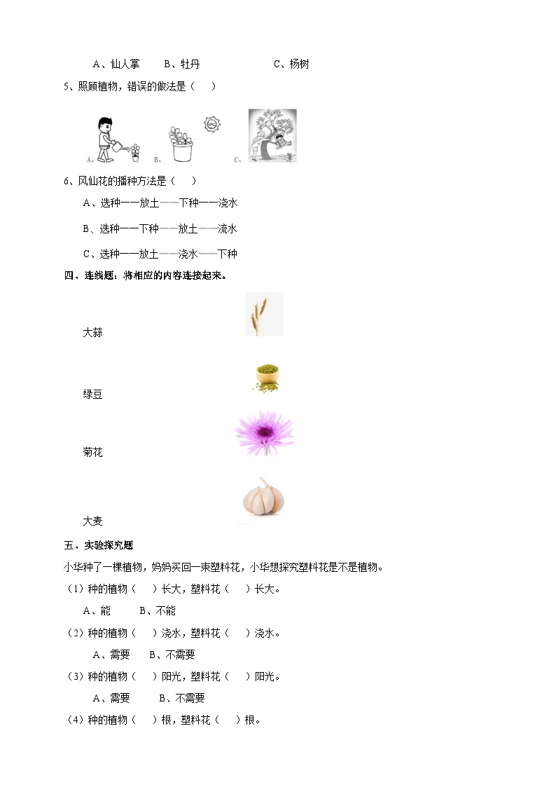 新教科版（2017）科学一年级上册 1.1《我们知道的植物》课件+教案+练习+素材02