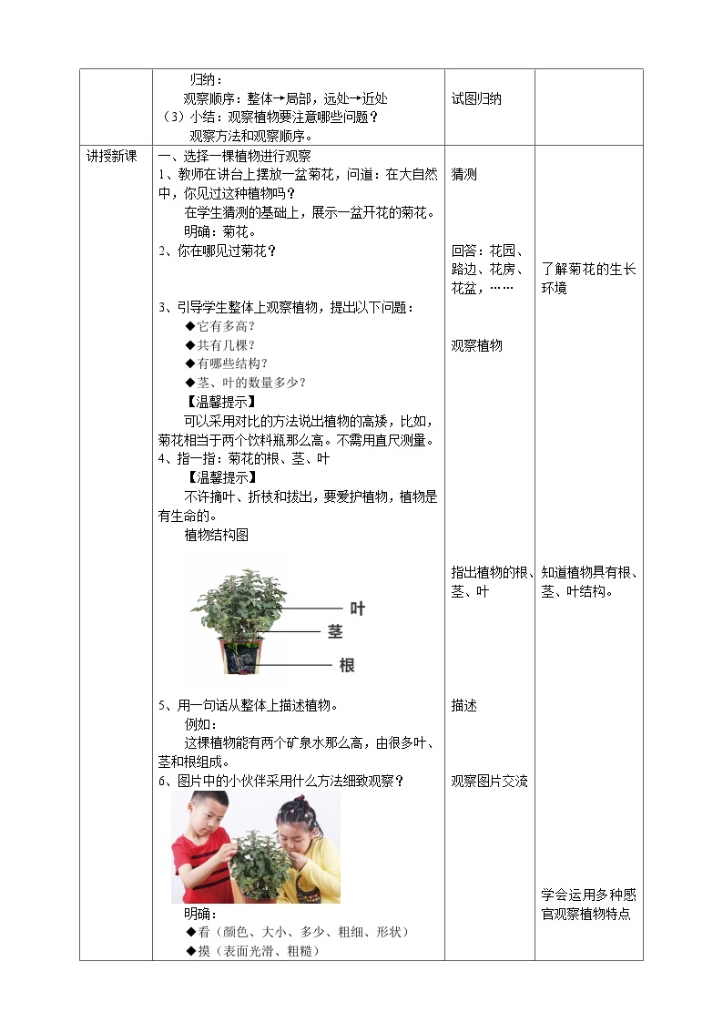 新教科版（2017）科学一年级上册 1.2《观察一棵植物》课件+教案+练习+素材02