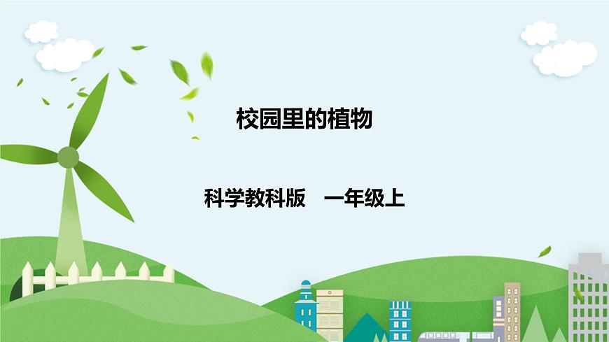 新教科版（2017）科學(xué)一年級上冊 1.6《校園里的植物》課件第1頁