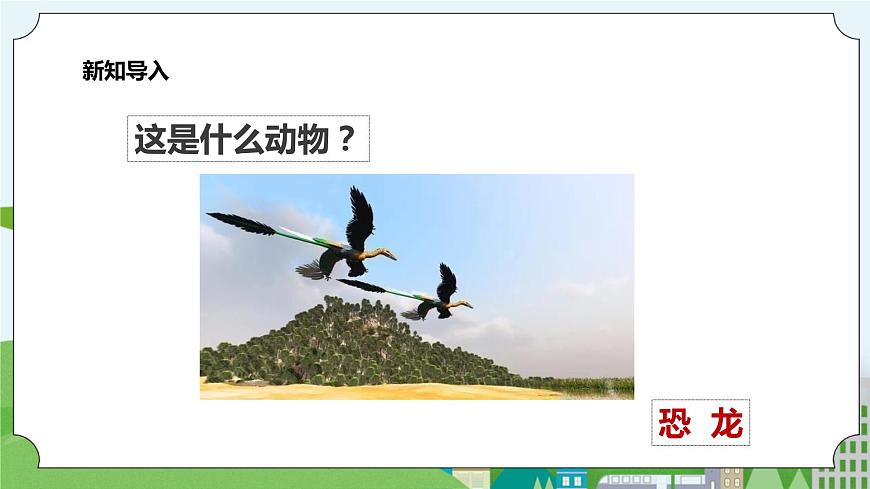 新教科版（2017）科學(xué)一年級上冊 2.1《在觀察中比較》課件（26張PPT）第2頁