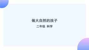 小学科学教科版 (2017)二年级上册7.做大自然的孩子公开课课件ppt