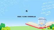青岛版 (六三制2017)四年级上册3 鸟完整版ppt课件