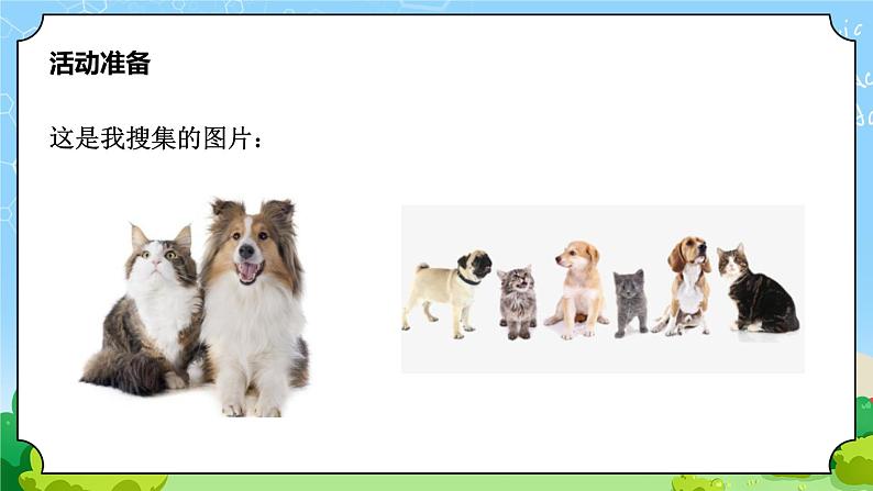青岛版(六三制)科学四上1.4哺乳动物(课件+教案)03