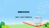 青岛版（六三制）科学四上1.5我国的珍稀动物（课件+教案+素材）