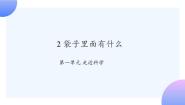小学科学人教鄂教版 (2017)一年级上册2 袋子里面有什么获奖课件ppt