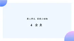 2.4 《金鱼 》课件+素材