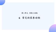 小学人教鄂教版 (2017)6 常见的家养动物完美版ppt课件