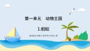 小学科学青岛版 (五四制2017)四年级上册1 蚂蚁优秀教学课件ppt