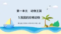 青岛版 (五四制2017)四年级上册5 我国的珍稀动物优秀教学课件ppt