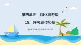 新青岛五四制科学四上19.《呼吸道传染病》教学课件