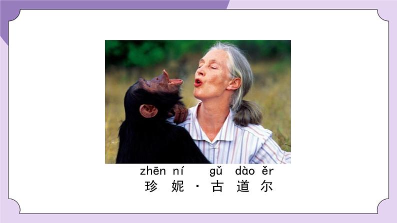一年级【科学(教科版)】我们知道的植物-2PPT课件第3页