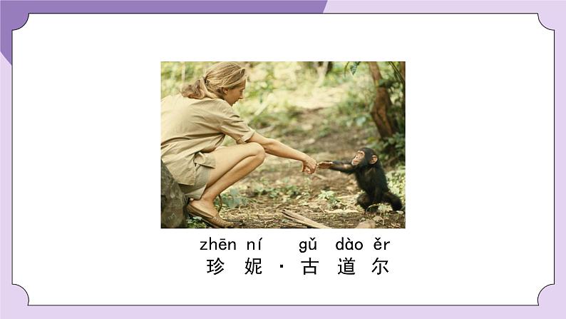 一年级【科学(教科版)】我们知道的植物-2PPT课件第4页