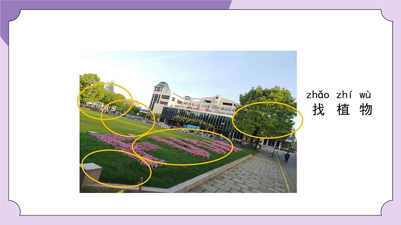 一年级【科学(教科版)】我们知道的植物-2PPT课件第6页