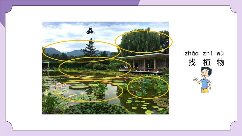 一年级【科学(教科版)】我们知道的植物-2PPT课件第8页