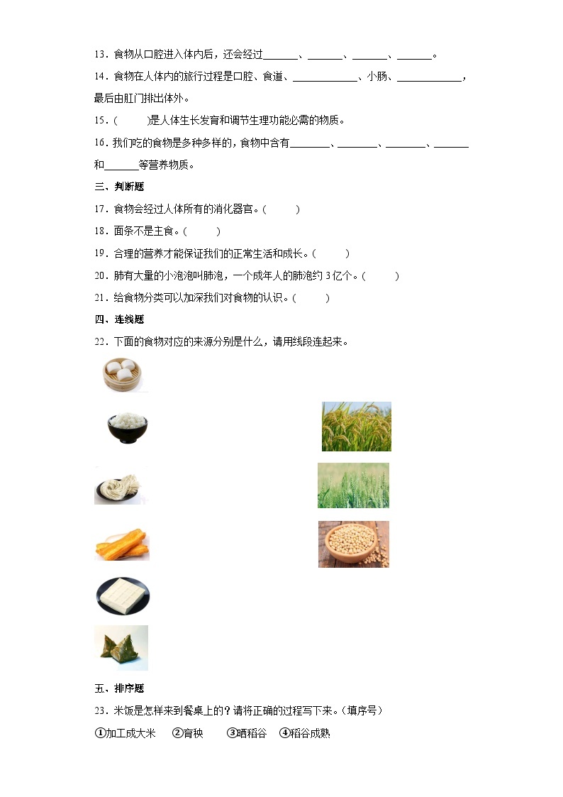 人教鄂教版科学三年级上册 第一单元 食物与消化 单元练习（ 含答案）02