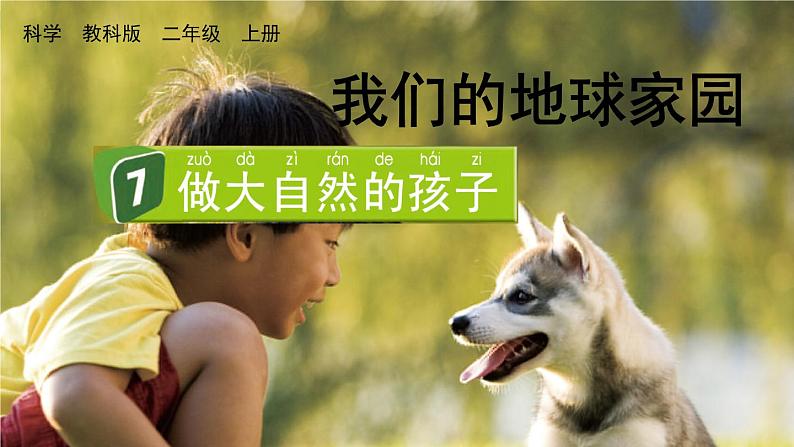 教科版科学二年级上册第一单元 我们的地球家园 7 做大自然的孩子课件+素材01