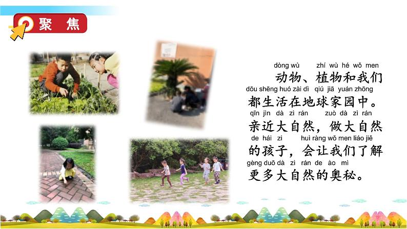 教科版科学二年级上册第一单元 我们的地球家园 7 做大自然的孩子课件+素材04