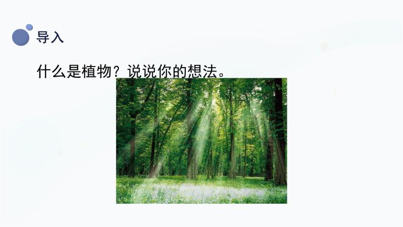 冀人版一上科学 2.4《身边的植物》课件04