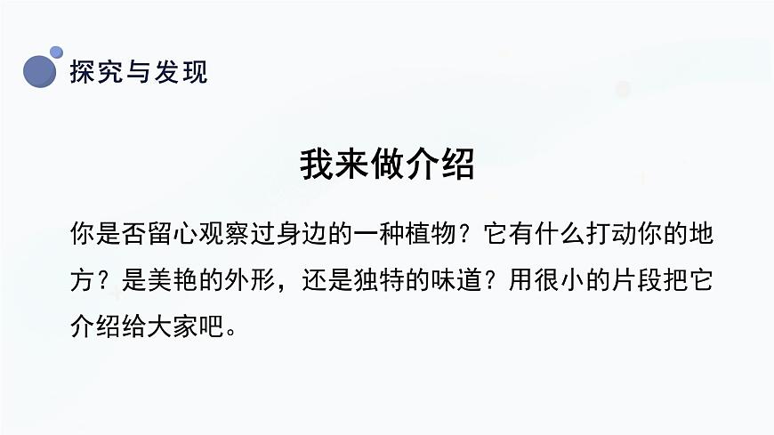 冀人版一上科學 2.5《認識植物》課件第8頁