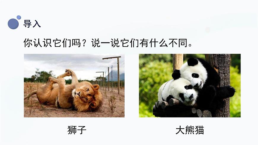 冀人版一上科學 3.8《認識動物》課件第5頁