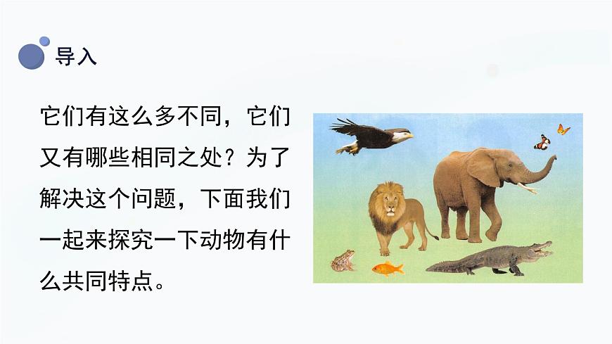 冀人版一上科學 3.8《認識動物》課件第8頁