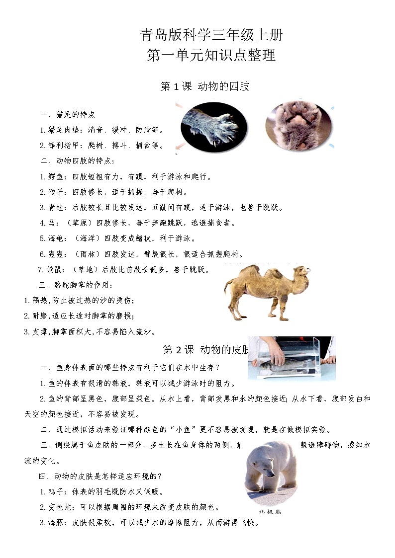 第1单元知识点第1页