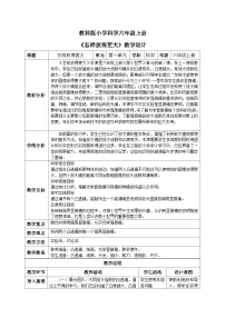 教科版 (2017)六年级上册2.怎样放得更大精品教学设计